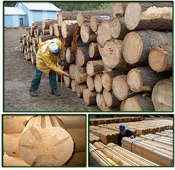 Materials Used for Building Log Homes